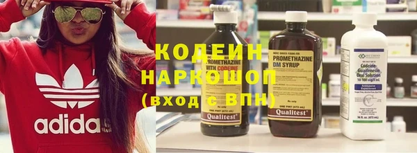 хмурый Гусев