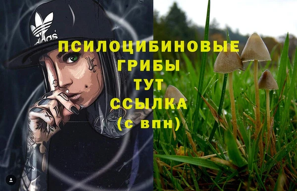 винт Гусиноозёрск