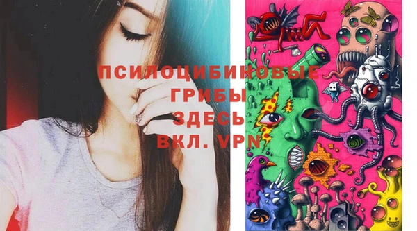 дурь Гусь-Хрустальный