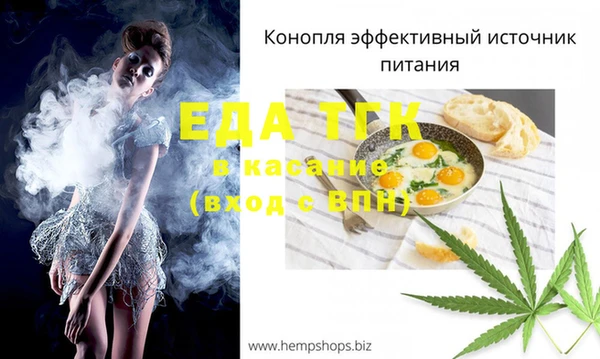 хмурый Гусев