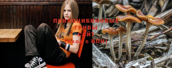 хмурый Гусев