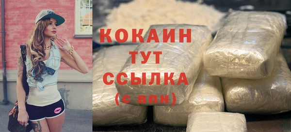 хмурый Гусев