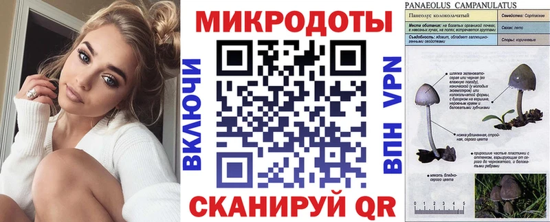 Купить закладки  Канаш  Галлюциногенные грибы прущие грибы 